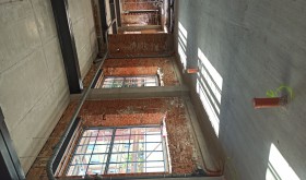 JUNE 2021 - GLICERYNOWNIA